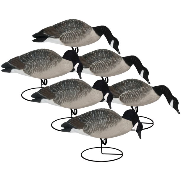 Hard Core Brands Full Body Canada Goose Feeder Decoys, Elite Series, 6