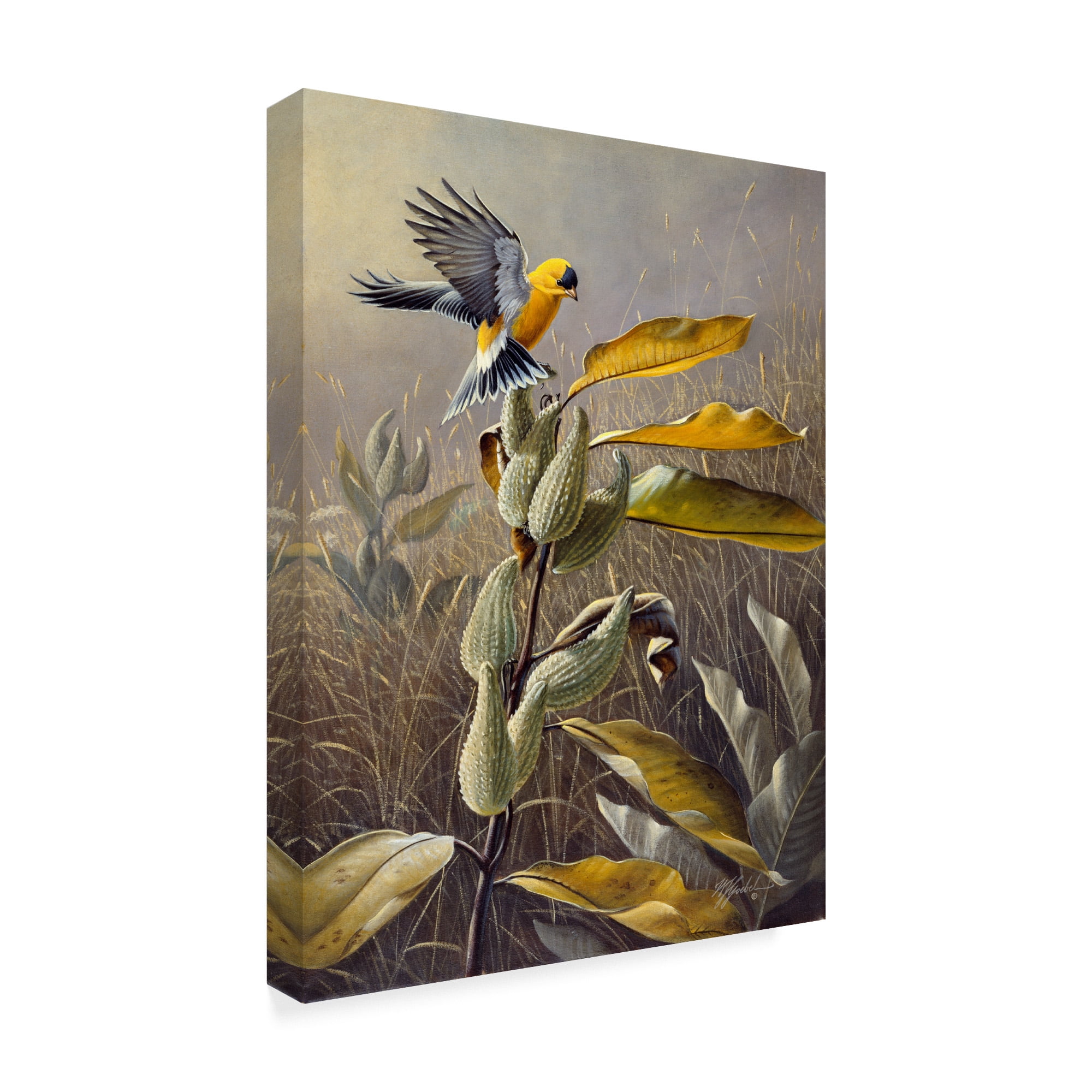 Trademark Fine Art 'Meadow Gold' Canvas Art by Wilhelm Goebel