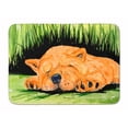 thumbnail image 1 of Carolines Treasures SS8526RUG Chow Chow Tapis en Mousse à Mémoire de Forme Lavable en Machine, 1 of 4
