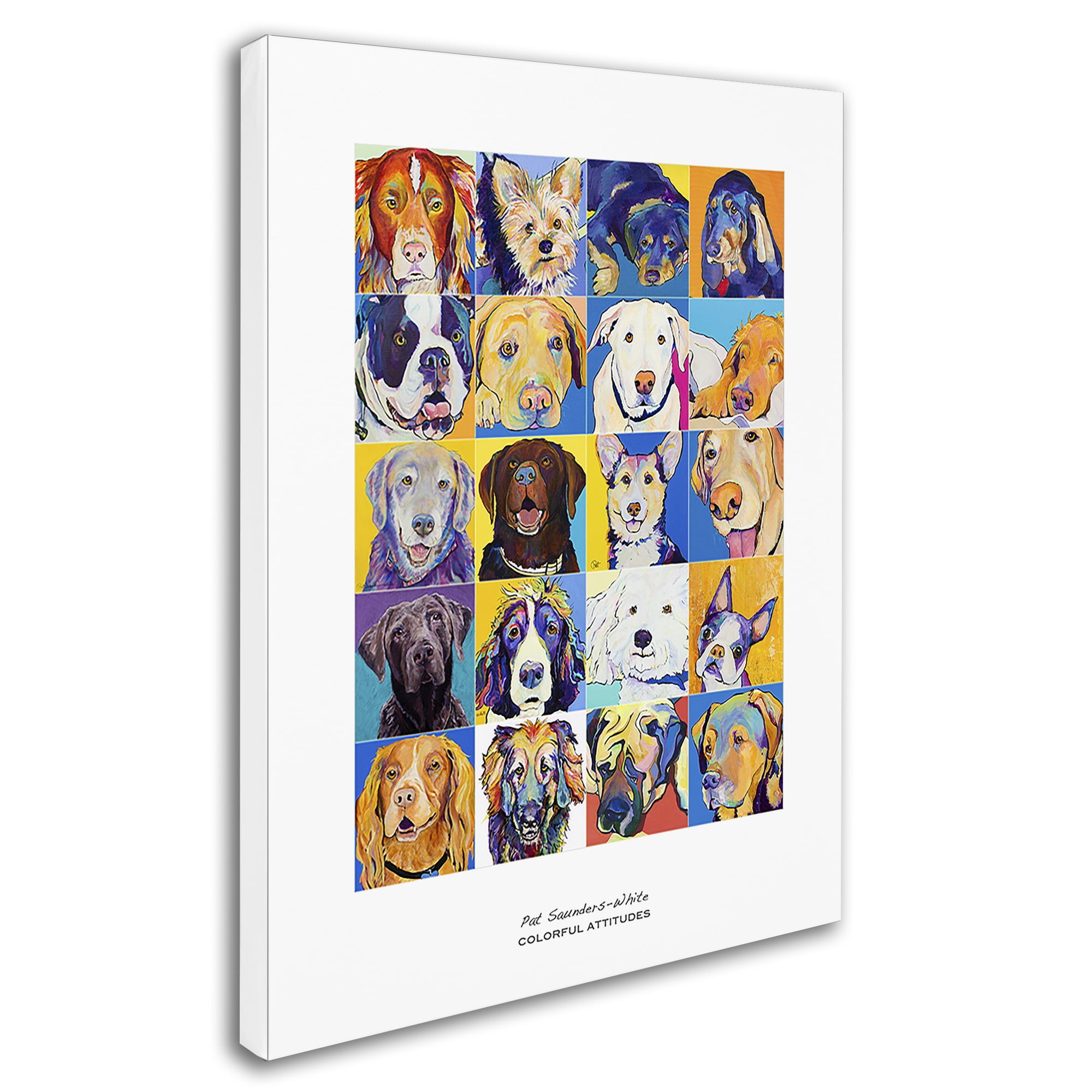Trademark Fine Art "Colorful Attitudes Poster" Canvas Art by Pat Saunders-White
