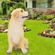 thumbnail image 5 of Decoración De Perro De Alta Simulación, Decoración De Jardín De 7,5 X 5,1 X 9,8 Pulgadas, Decoración De Estatuillas, Para Decoración De Parques De Producción De Paisajes,, 5 of 7