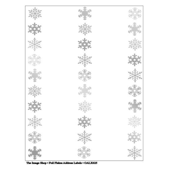The Image Shop - Foil Flakes Address Labels - 1" x 2-5/8"; 30 per Sheet, 150 Labels
