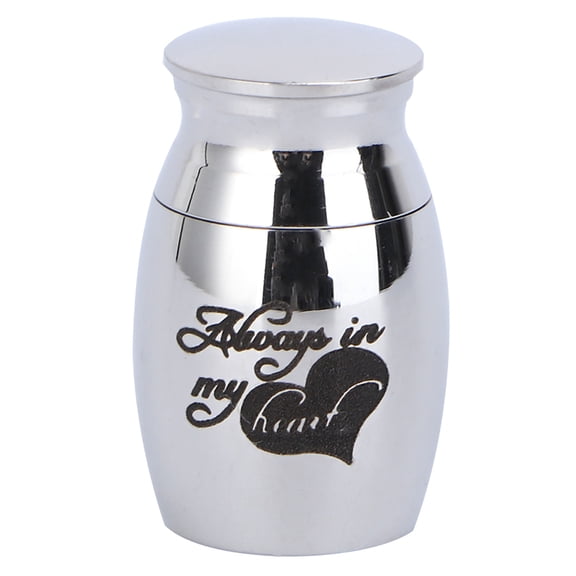 CTIRCHIU Pet Ashes Storage Container Silver Urn for Cats 1Pack