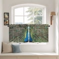 thumbnail image 3 of Peacock Feathers Tier Curtains, Contemporary Aesthetic Art Light Filtering Kitchen Curtains, 2Pcs Rod Pocket Half Window Treatments Panels for Sink Cafe Cabinet Camper 27.5x36 Inches, 3 of 9