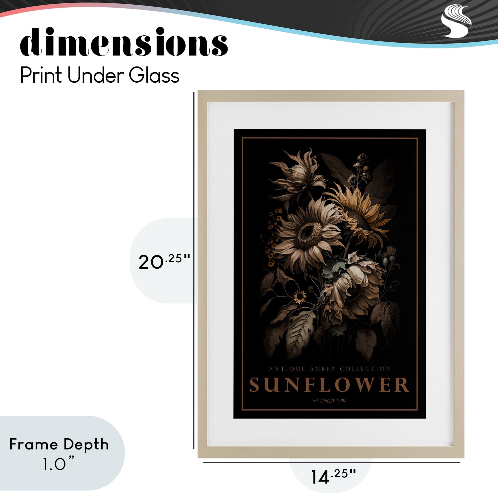 Stupell Industries Antique Sunflower Light Birch Framed Print Under Glass, design by Chris Giampietro