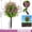 D, variant on 20.7" Artificial Boxwood Ball Trees with Ground Spike, UV Resistant Fake Bushes Plants with Camellia Flowers, Faux Cedar Balls Shrubs for Outdoor Indoor Front Porch Garden Decor