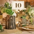 thumbnail image 6 of Table Number Holders 10Pcs - 8.75 Inch Place Card Holder Tall Table Number Stands for Wedding Party Graduation Reception, 6 of 7