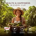 thumbnail image 5 of Gya Tea Co Soursop Leaves Herbal Tea K Cup (16 Pods), 5 of 7
