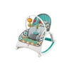 Fisher-Price CMR13 Newborn to Toddler Folding Baby Rocker Chair, Glacier Wave