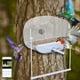 thumbnail image 1 of Comedero para pájaros con cámara, cámara HD 1080P versión nocturna, punto de acceso wifi para conexión remota a teléfono móvil para observación de aves al aire libre, fotos del comedero., 1 of 9