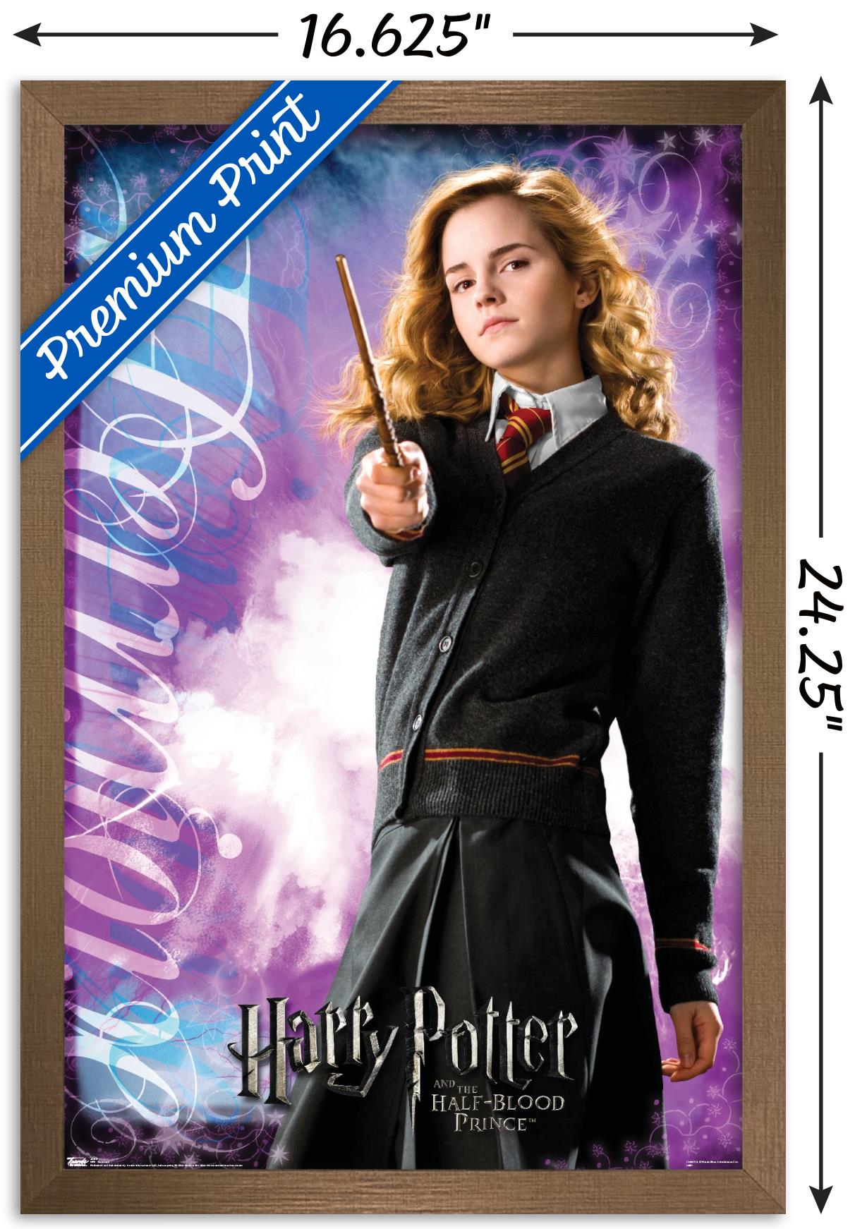 Harry Potter and the Half-Blood Prince - Hermione Wall Poster, 14.725" x 22.375", Framed