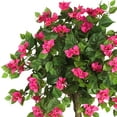 thumbnail image 3 of Nearly Natural 5ft. Mini Bougainvillea Topiary Artificial Tree, 3 of 6