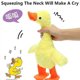 thumbnail image 3 of Pato de peluche con control remoto para niños, 3 of 5