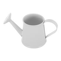 FOMIYES Bright Watering Can Metal Watering Can Watering Pot Small Succulents Water Can