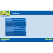 Individual Software PVE-11SA Professor Teaches Windows 11 with Skill Assessment PC DVD