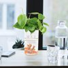 Baluue Plastic Fish Tanks for Home Owners Portable Fish Tank 1Pcs