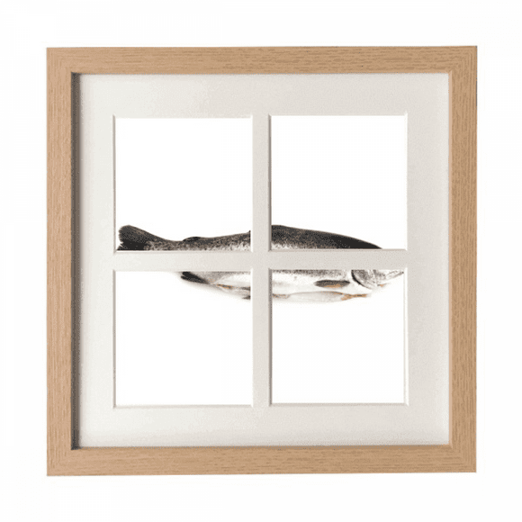 Ocean Fish Fresh Grey Art Deco Fashion Frame Wall Tabletop Display 4 Openings Picture