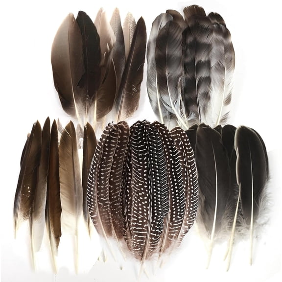 30PCS Crafts Feathers 5 Styles Mixed Feathers Bulk for DIY Dream Catcher Wings Earring Hat Mask Wedding Party Carnival Halloween Costume Decorations