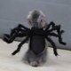 thumbnail image 2 of Disfraz de araña para perro y gato para decoración de fiesta de Halloween, disfraces de cosplay de Halloween para perros y gatos pequeños, accesorios de vestir para cachorros y gatos, simulación de terror, araña de peluche, fiesta de disfraces(M) JM, 2 of 5