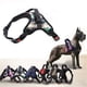 thumbnail image 2 of Nylon Heavy Duty Dog Pet Harness Collar Adjustable Padded Extra Large Medium Small Dog Harnesses Vest Husky Big Dogs Products ShopWise Round, 2 of 19