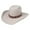 Silver, variant on Resistol Hooey Presidio - 4X Wool Cowboy Hat Black