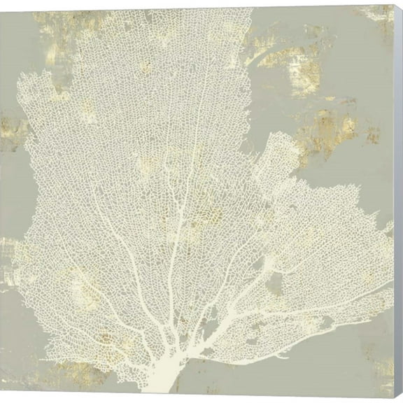 Sea Coral I by Aimee Wilson, Canvas Wall Art, 12W x 12H