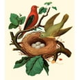thumbnail image 2 of Unknown 26x29 Gold Ornate Wood Framed with Double Matting Museum Art Print Titled - Feathering Nest II, 2 of 4