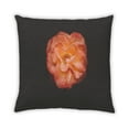 thumbnail image 2 of Ahgly Company Color Focus Black Indoor Throw Pillow, 18 inch by 18 inch, 2 of 6