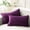 Dark Purple, variant on Phantoscope Burgundy Throw Pillow Covers 2 Pack, 18" x 18" Velvet Decorative Pillow Cases with Pom Poms, Soft Square Cushion Covers for Couch Sofa Bed