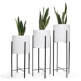 thumbnail image 1 of Set Macetas Blancas con Base Negra Moderna/Minimalista Macetas y Maceteros Estilo moderno, elegante y minimalista., 1 of 4