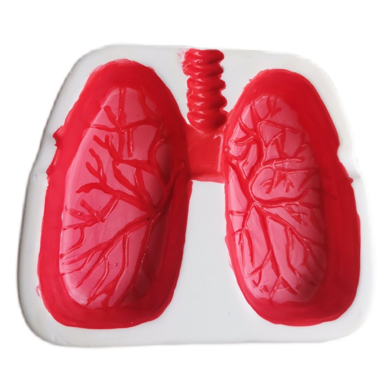 card holder Lung Ashtray 