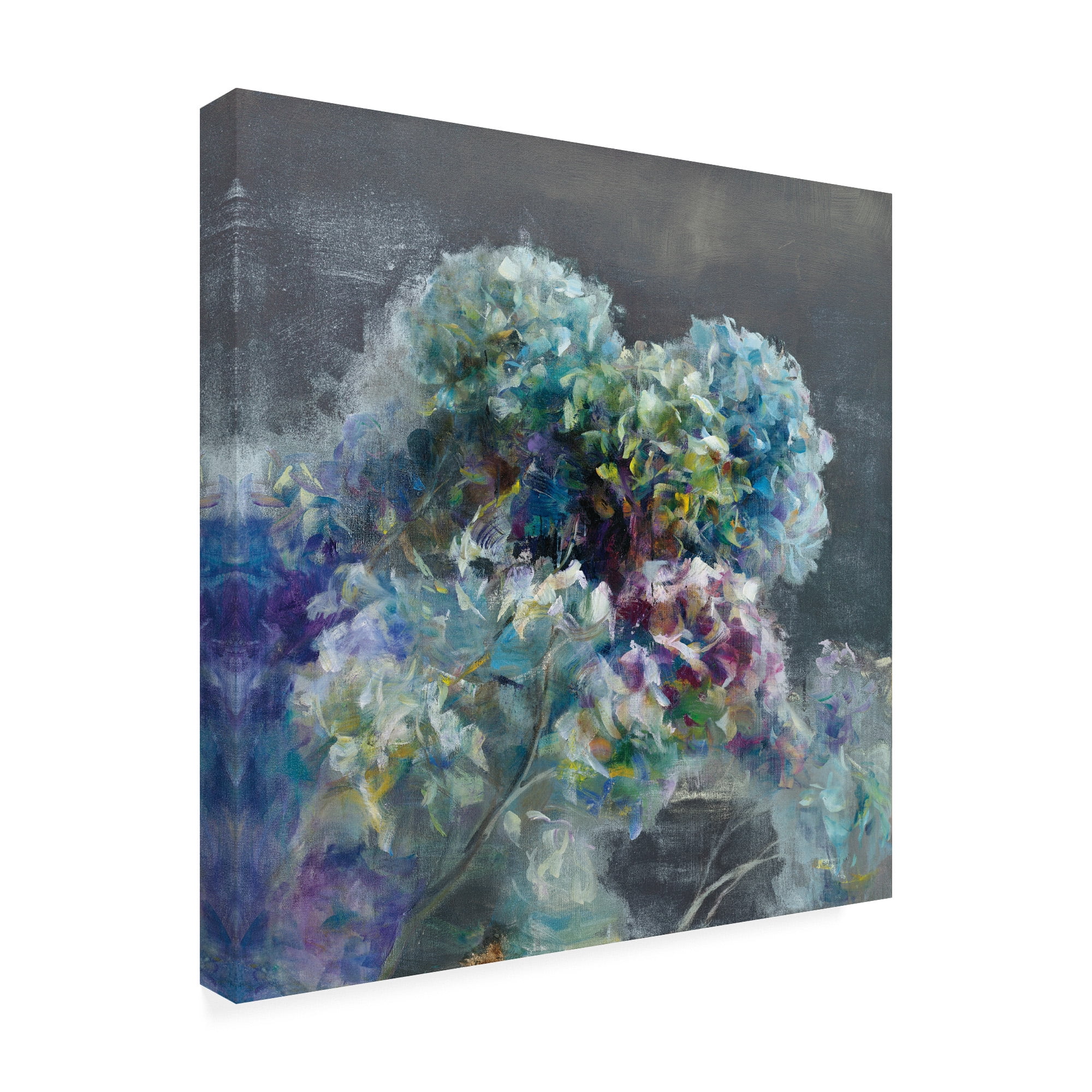 Trademark Fine Art 'Abstract Hydrangea Dark' Canvas Art by Danhui Nai