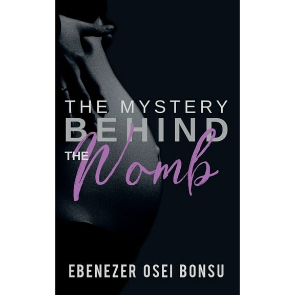 Mystery Behind the Womb (Paperback)