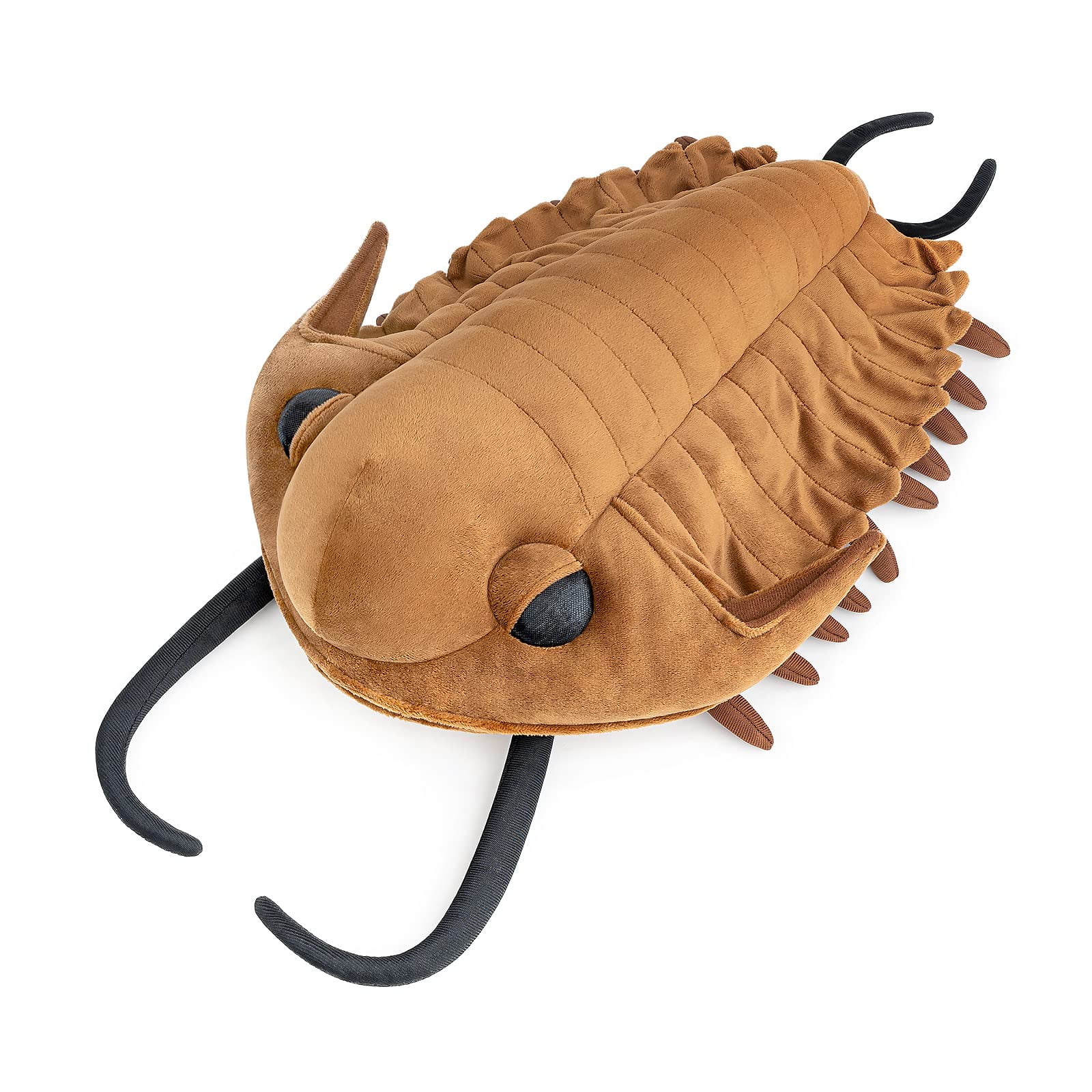 Giant Trilobite Plush - Lifelike 16inch Trilobite Stuffed Animal ...