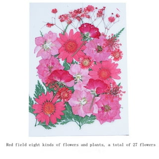 Pressed Flower & Leaves Pack - Light Pink / Red