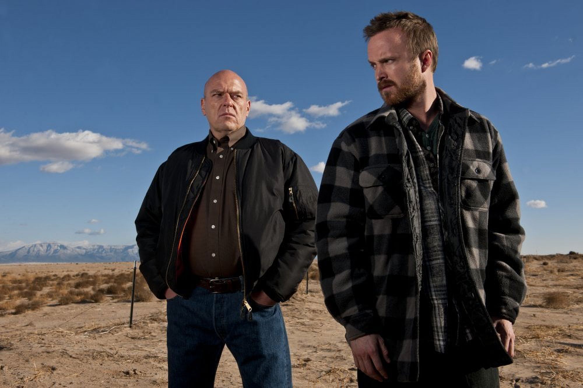 Breaking Bad: The Final Season (DVD Sony Pictures) - image 5 of 5