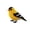 D, variant on YANDE - 3.15in 1PC Cute Bird Beaded Craft Kit, Complete DIY Beading Project with Guide Manual, Portable Handicraft Making Set for Hobbyists Indoor Leisure Art Decoration (C)