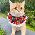 thumbnail image 2 of Paquete De 4 Collares Navideños Para Gatos Pañuelo Encaje A Cuadros Pajarita Bufanda Navideña Babero Para Gatos Y Perros (Paquete De 4), 2 of 7