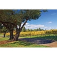 thumbnail image 3 of Crane, Rita 24x17 Black Modern Framed Museum Art Print Titled - Oak and Vine IV, 3 of 5