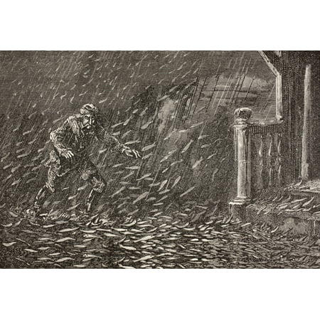 A Shower Of Fish In Transylvania Romania From The Book Chips From The Earths Crust Published 1894 (Best Fish And Chips In Phoenix)