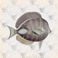 thumbnail image 2 of Medley, Elizabeth 20x20 Gold Ornate Wood Framed with Double Matting Museum Art Print Titled - Neutral Vintage Fish II, 2 of 4