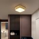 thumbnail image 2 of LED ceiling light, fashionable and modern small ceiling light, suitable for corridor, staircase, living room (three-color light), 2 of 3