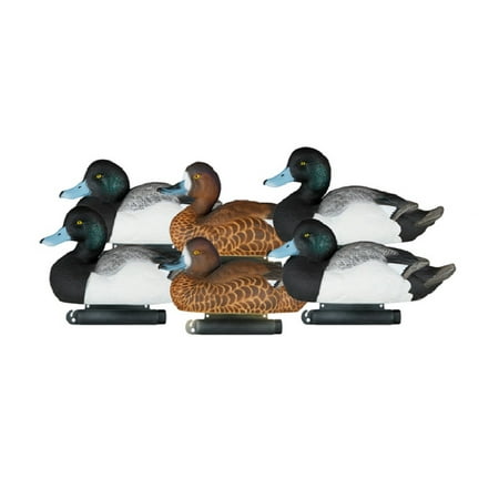 Dakota Decoy 21000 X Treme Bluebill Duck Decoys 6 Pack w/ 4 Drakes and 2 Hens