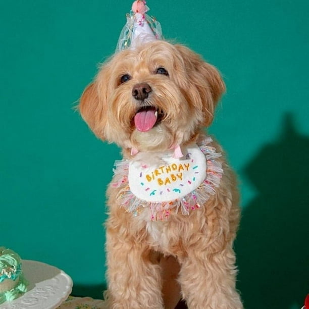 Pet birthday bandana hotsell