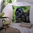 thumbnail image 3 of Carolines Treasures BB9845PW1414 Newfoundland St Patricks Fabric Decorative Pillow  14Hx14W multicolor, 3 of 4