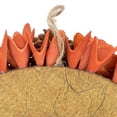 thumbnail image 2 of Galt International Harvest Fall Orange Woodchip Pinecone Halloween Wreath 18", 2 of 8