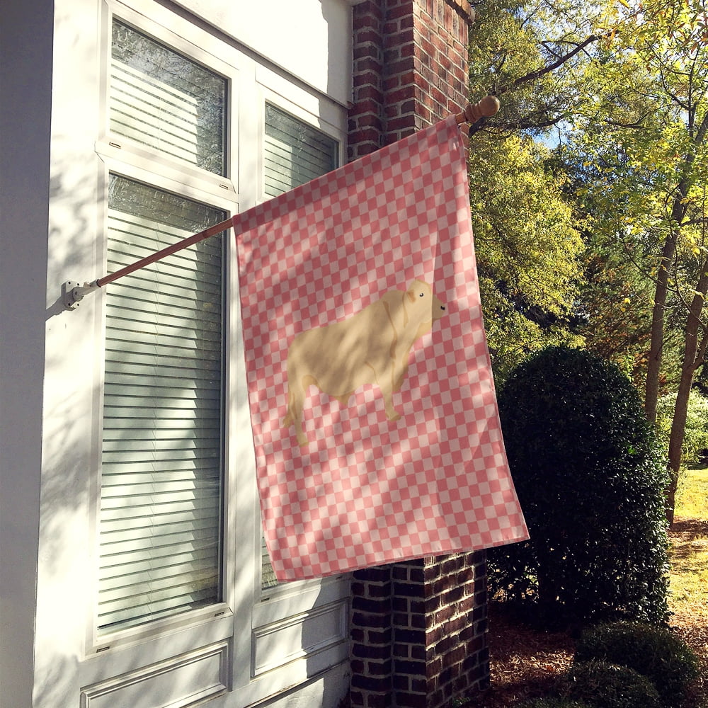 Caroline's Treasures BB7826CHF Charolais Cow Pink Check Flag Canvas House Size , Large, multicolor