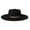 black, variant on Vintage Wide Brim Felt Hat for Women Men:Braided Belt Fedora Hat, Unisex - daily commutes, parties, photo shoots, western styling