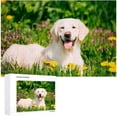 thumbnail image 4 of Coolnut 500 PCS Jigsaw Puzzles, Artwork Gift for Adults Teens Happy Labrador Retriever Sitting in Dandelions Field Wooden Puzzle Games, 20.5" x 14.9" 500 Pieces, 4 of 6