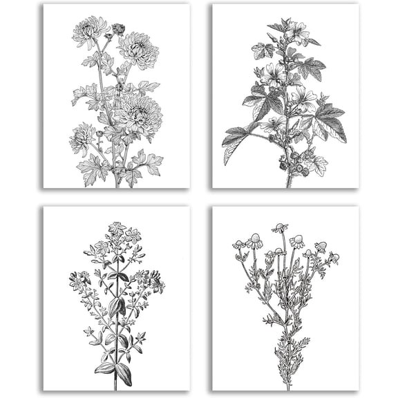 Black and White Floral Wall Art, Vintage Country Botanical Canvas Painting Artwork, Black and White Floral Pictures for Living Room Room Aesthetics, Bathroom Wall Decor Set of 4(8‘’X10‘’Unframed)